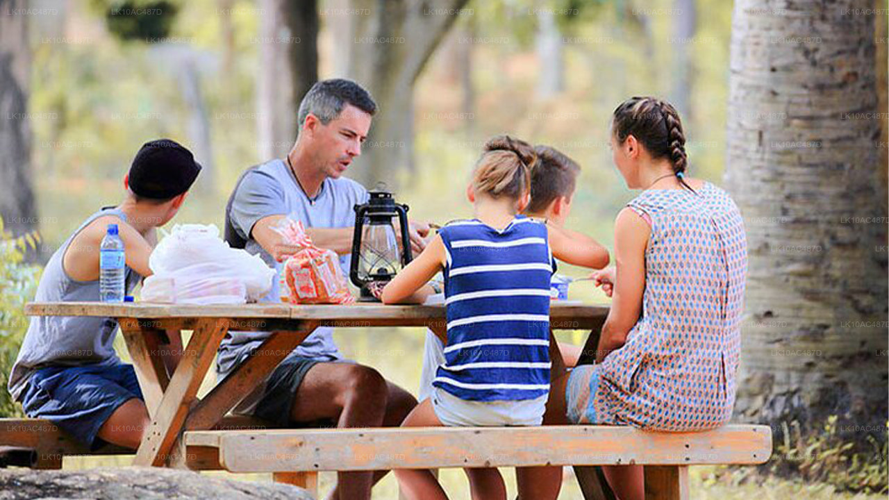 Устойчивый тур (10 дней)