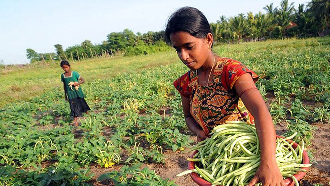 Устойчивый тур (10 дней)