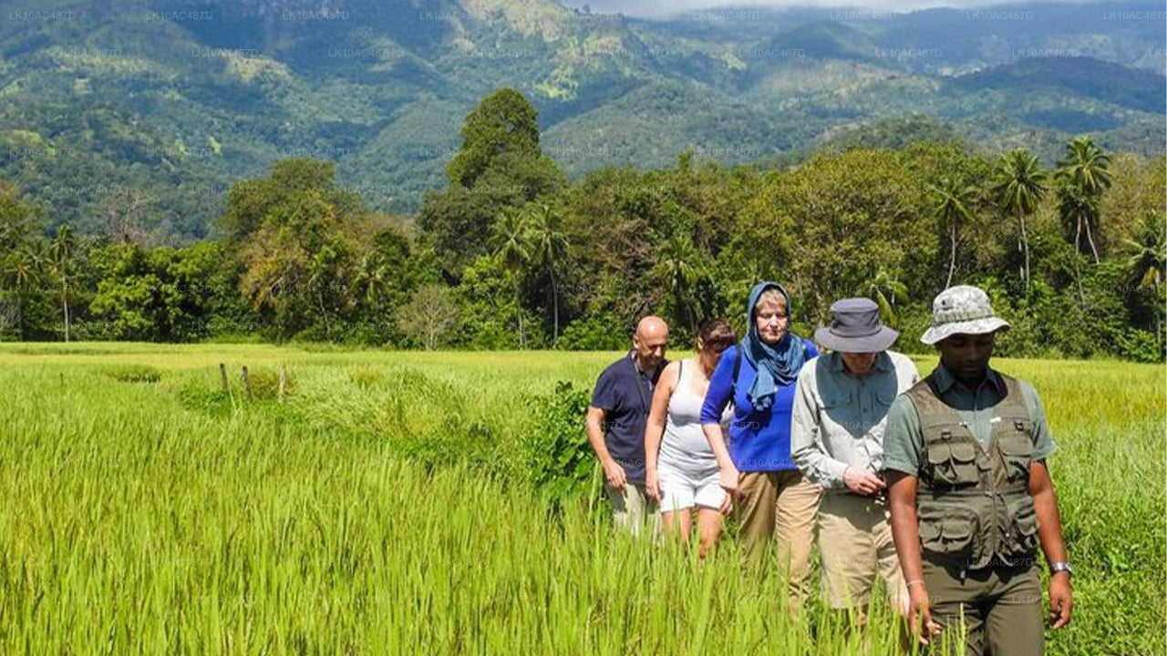 Устойчивый тур (10 дней)