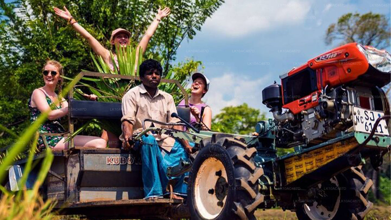 Устойчивый тур (10 дней)