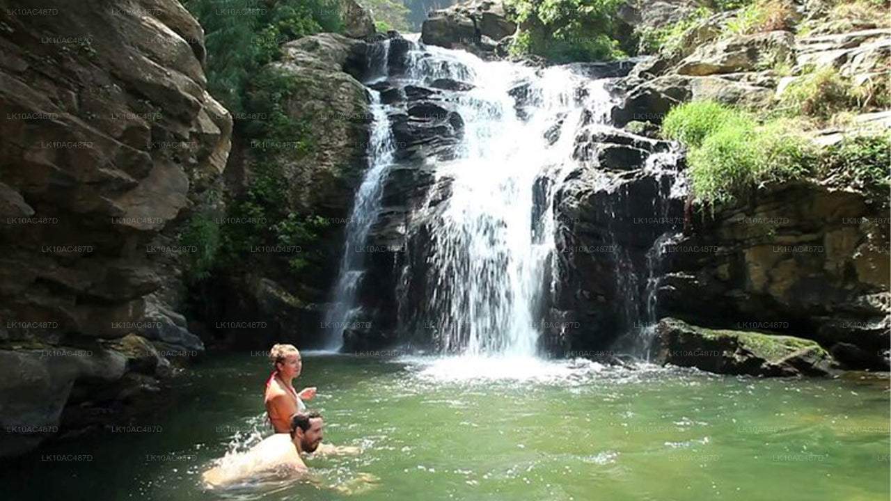 Устойчивый тур (10 дней)