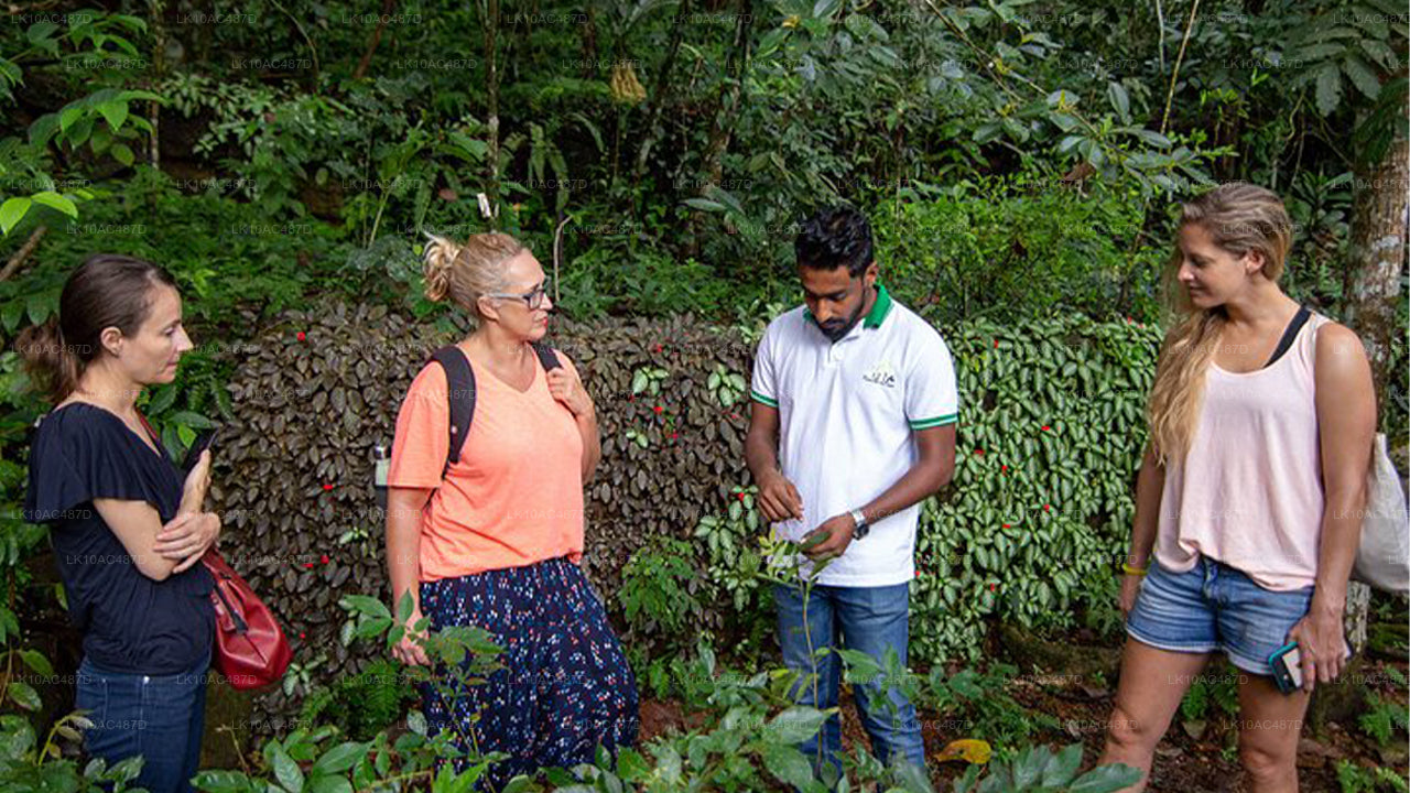 Устойчивый тур (10 дней)