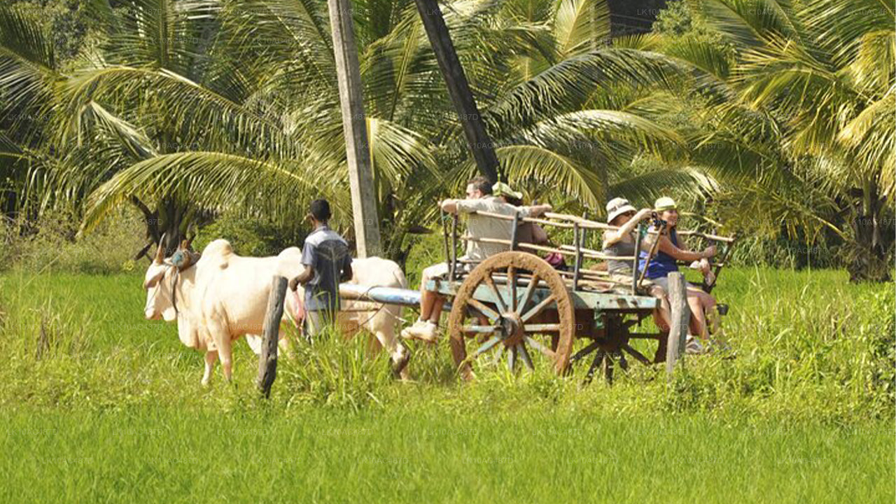 Устойчивый тур (10 дней)