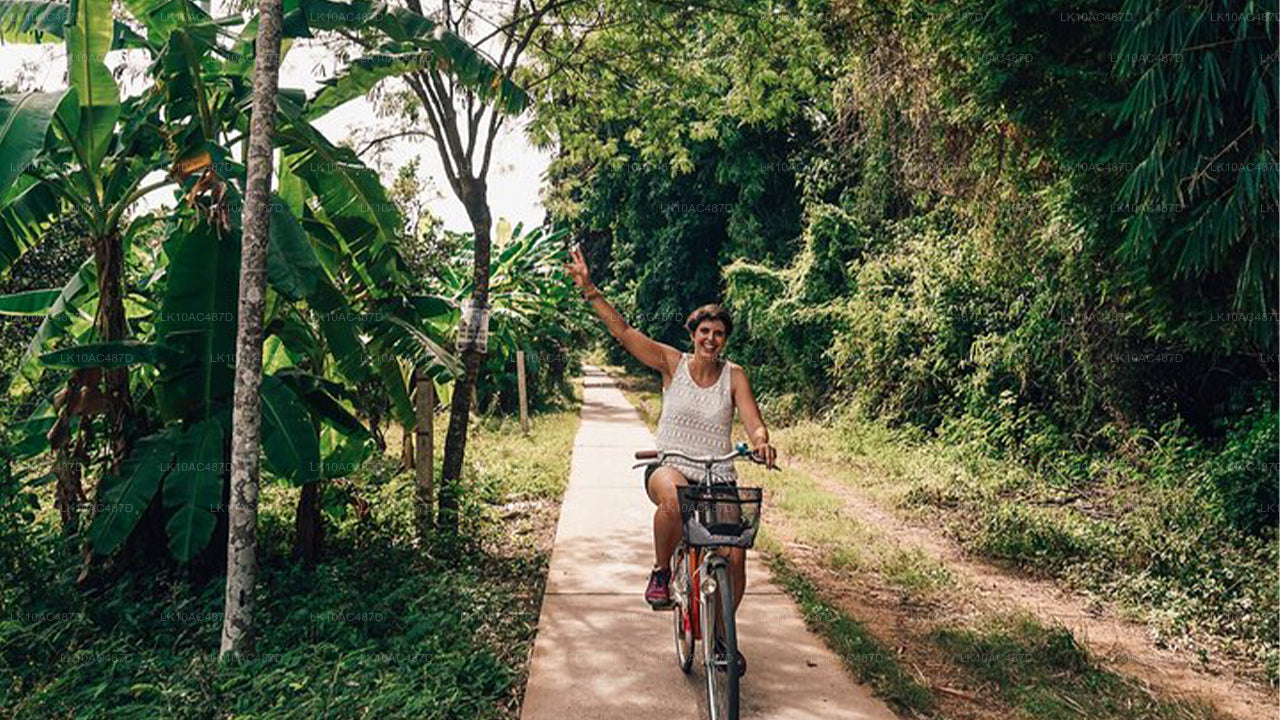 Устойчивый тур (10 дней)