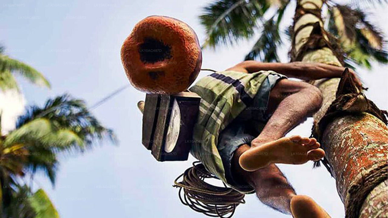 Устойчивый тур (10 дней)