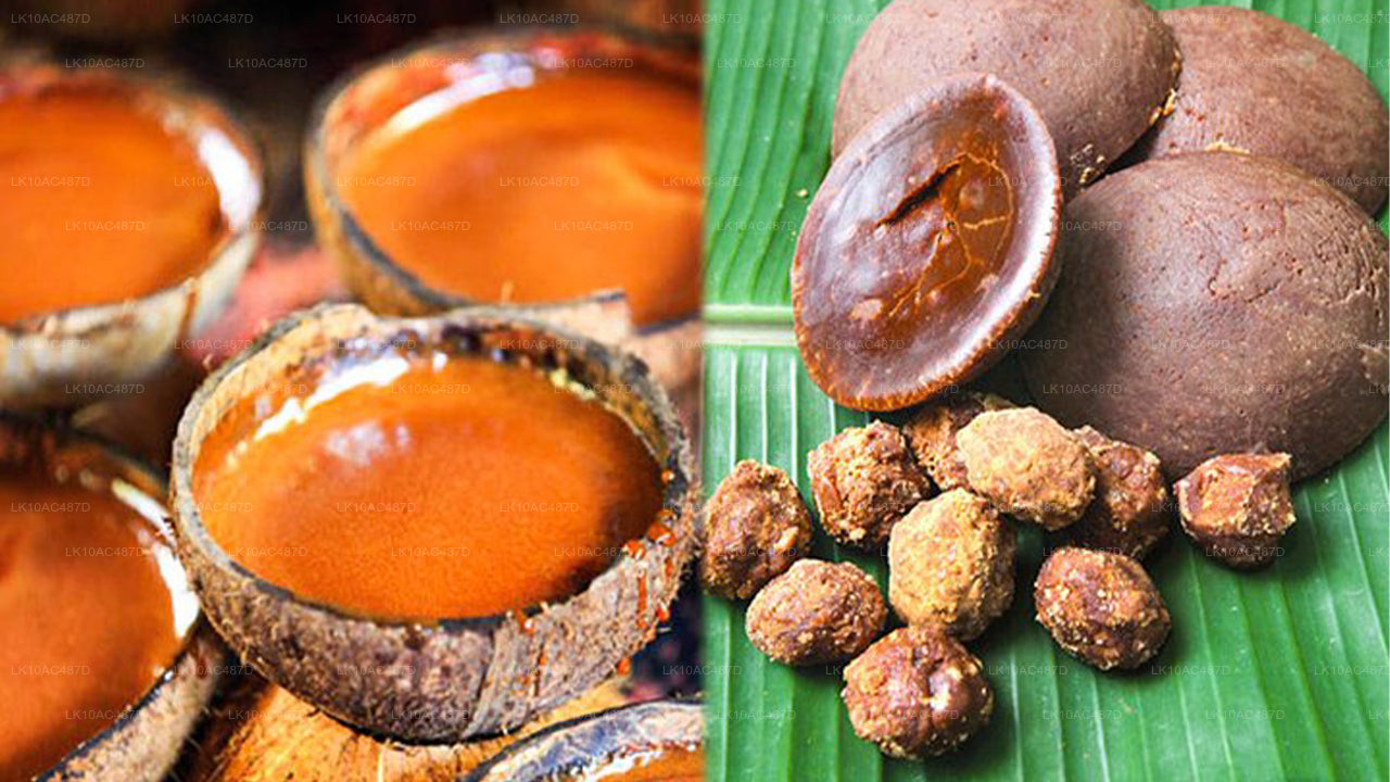 Устойчивый тур (10 дней)