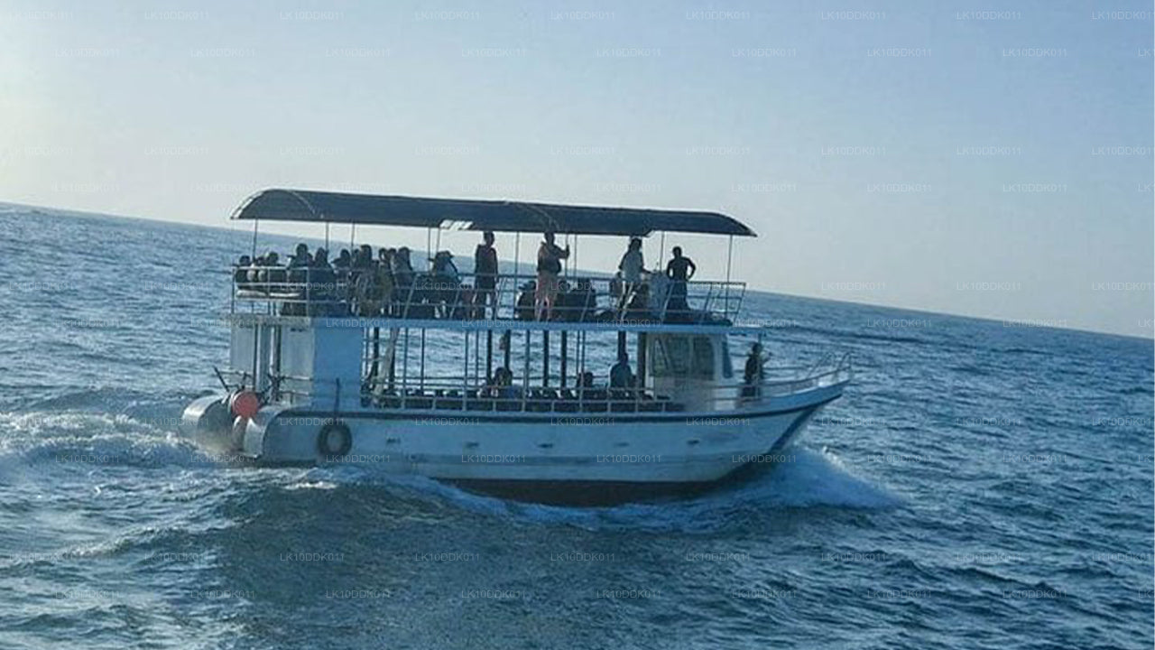 Тур по дикой природе с птицами и млекопитающими (14 дней)