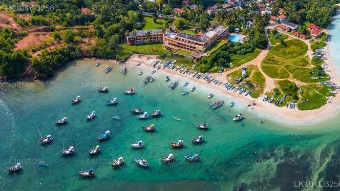 Private Tour from Arugam bay to Mirissa with Udawalawe Safari