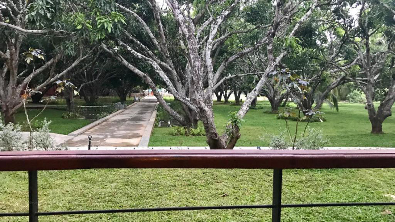 Курорт Сигириана на Тиланке, Дамбулла