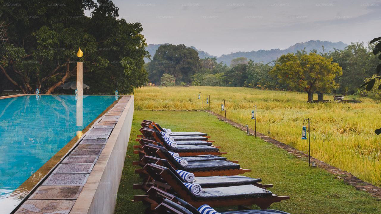 Курорт Сигириана на Тиланке, Дамбулла