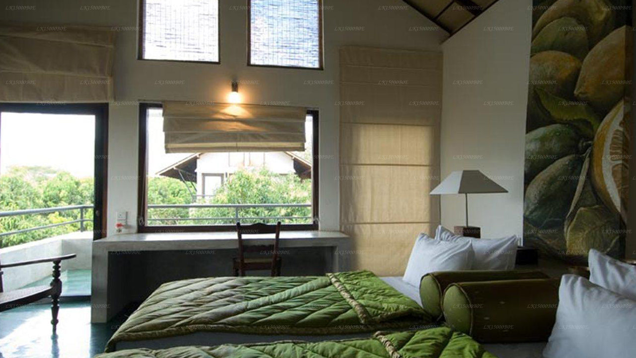 Курорт Сигириана на Тиланке, Дамбулла