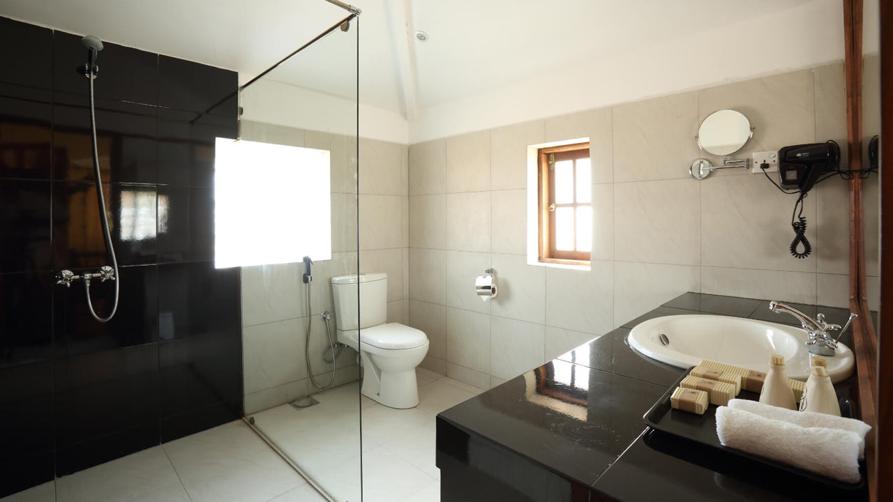 Святилище в Тиссавеве, Анурадхапура