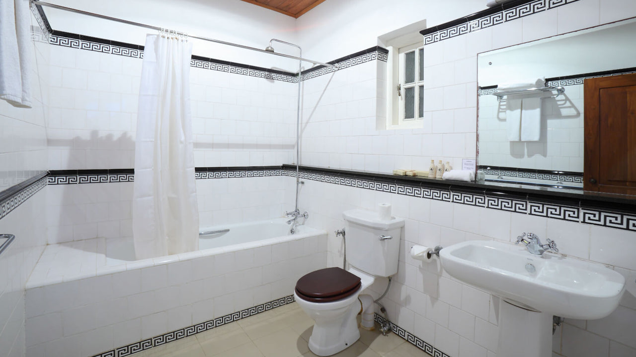 Святилище в Тиссавеве, Анурадхапура