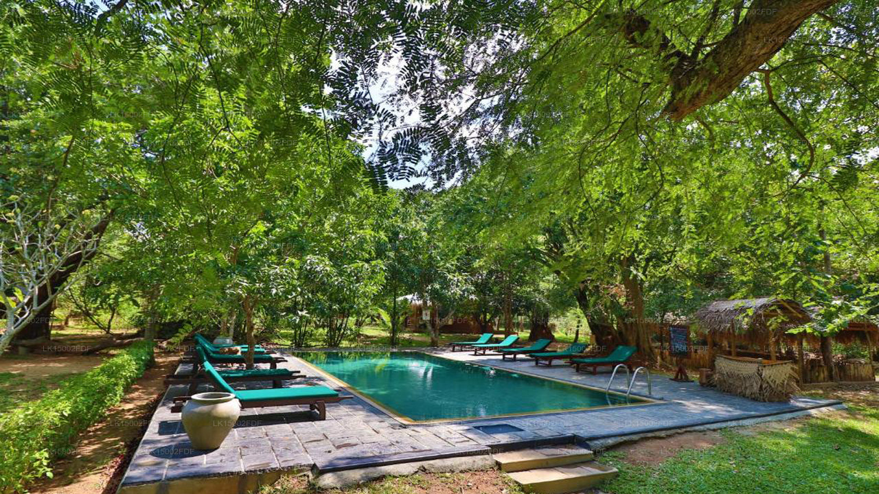 Другой угол, Хабарана