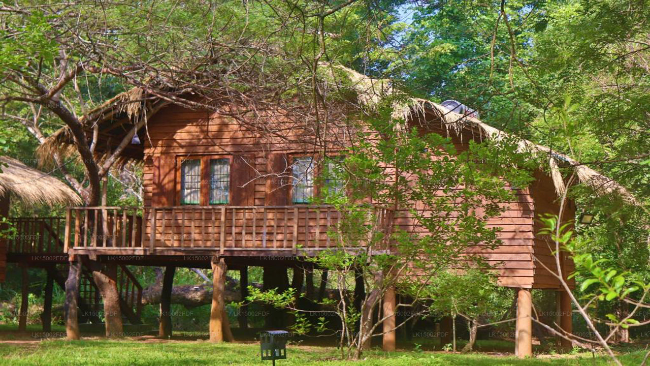 Другой угол, Хабарана