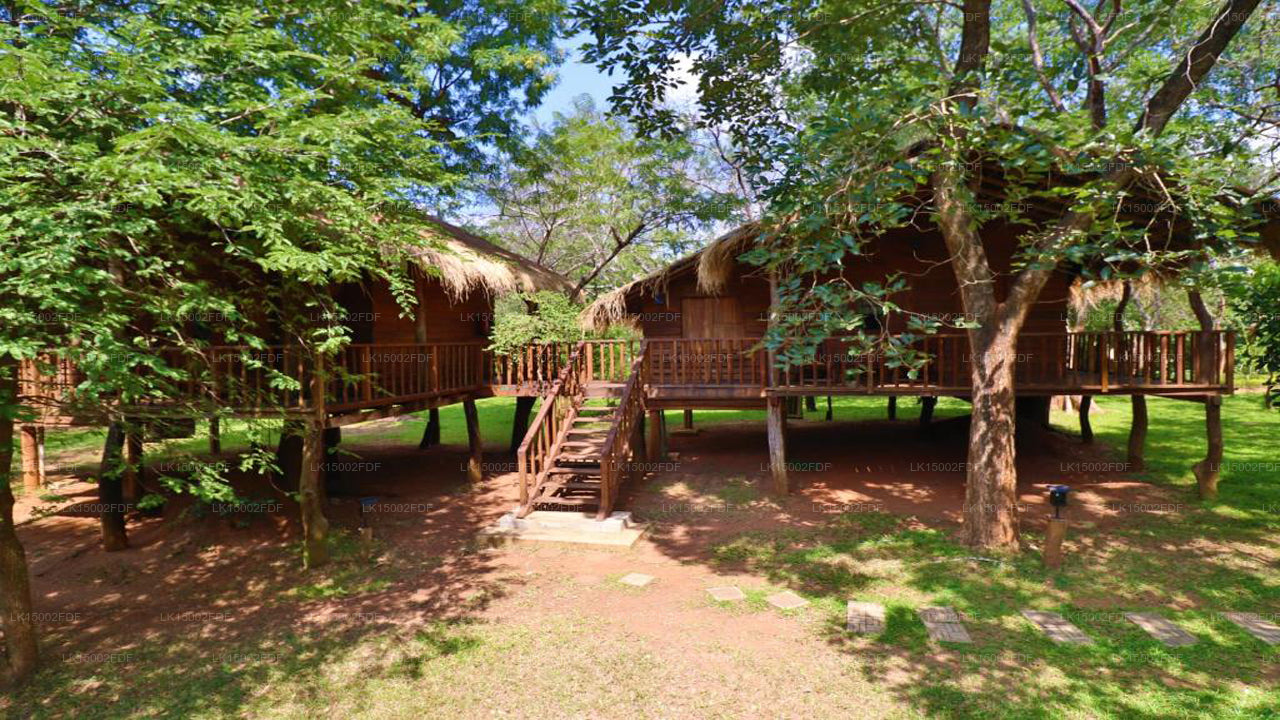 Другой угол, Хабарана