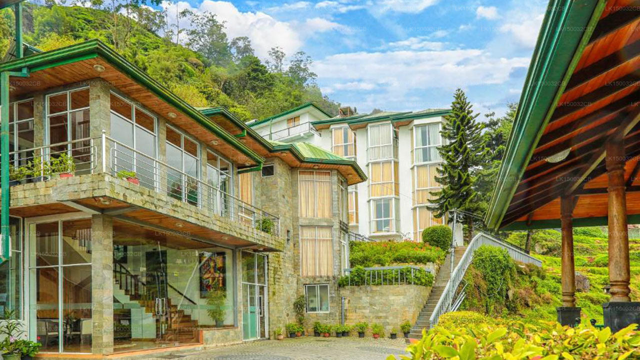 Оук Рэй Саммер Хилл Бриз, Нувара Элия