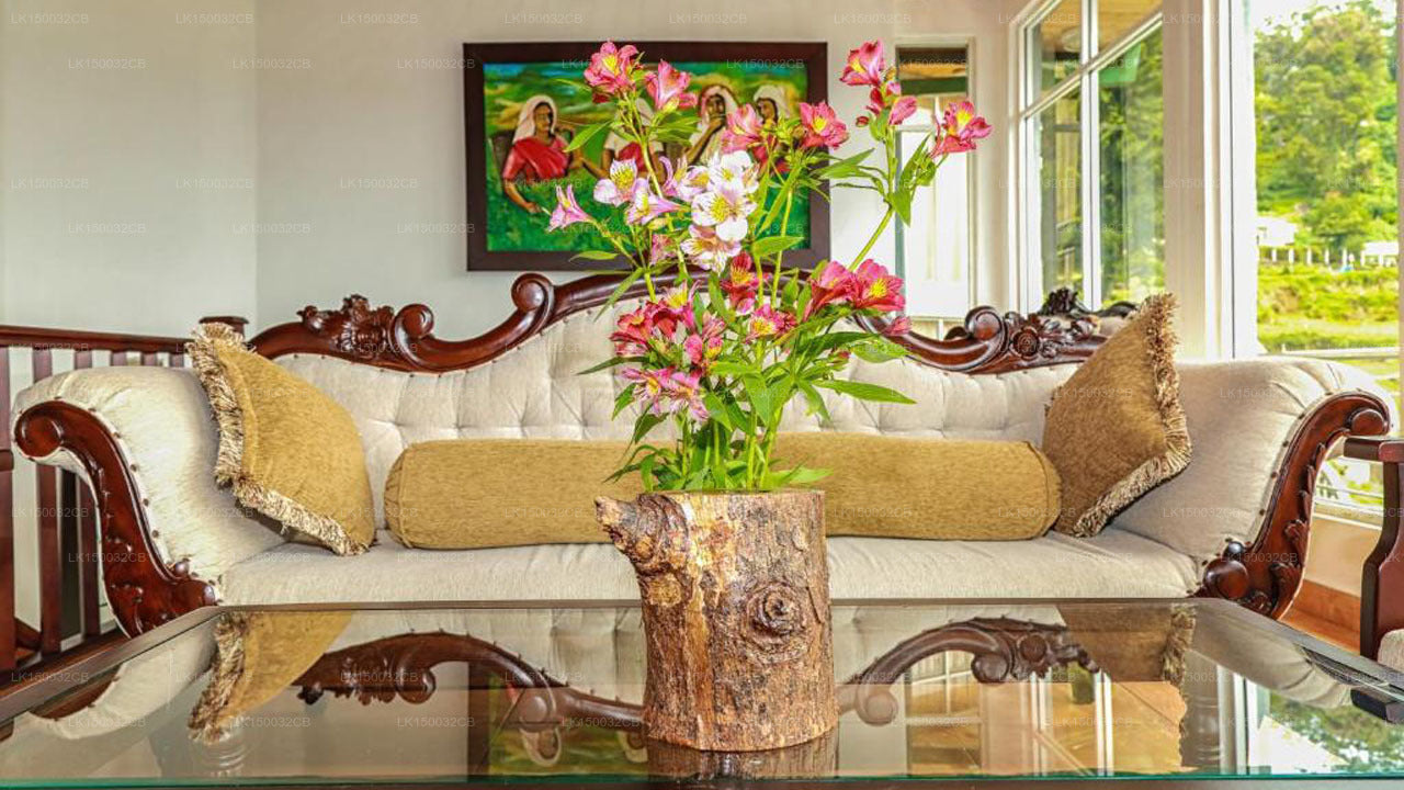 Оук Рэй Саммер Хилл Бриз, Нувара Элия