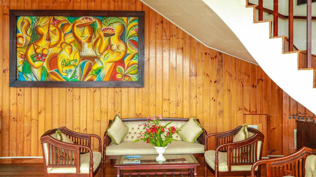 Оук Рэй Саммер Хилл Бриз, Нувара Элия