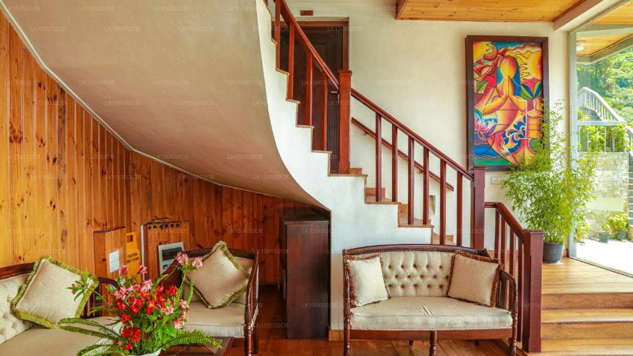 Оук Рэй Саммер Хилл Бриз, Нувара Элия