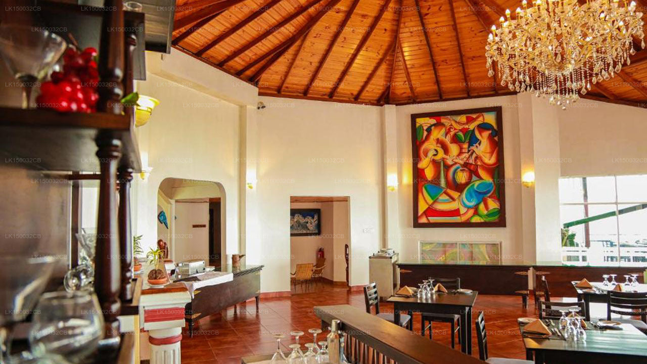 Оук Рэй Саммер Хилл Бриз, Нувара Элия