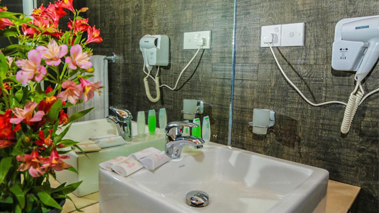 Оук Рэй Саммер Хилл Бриз, Нувара Элия