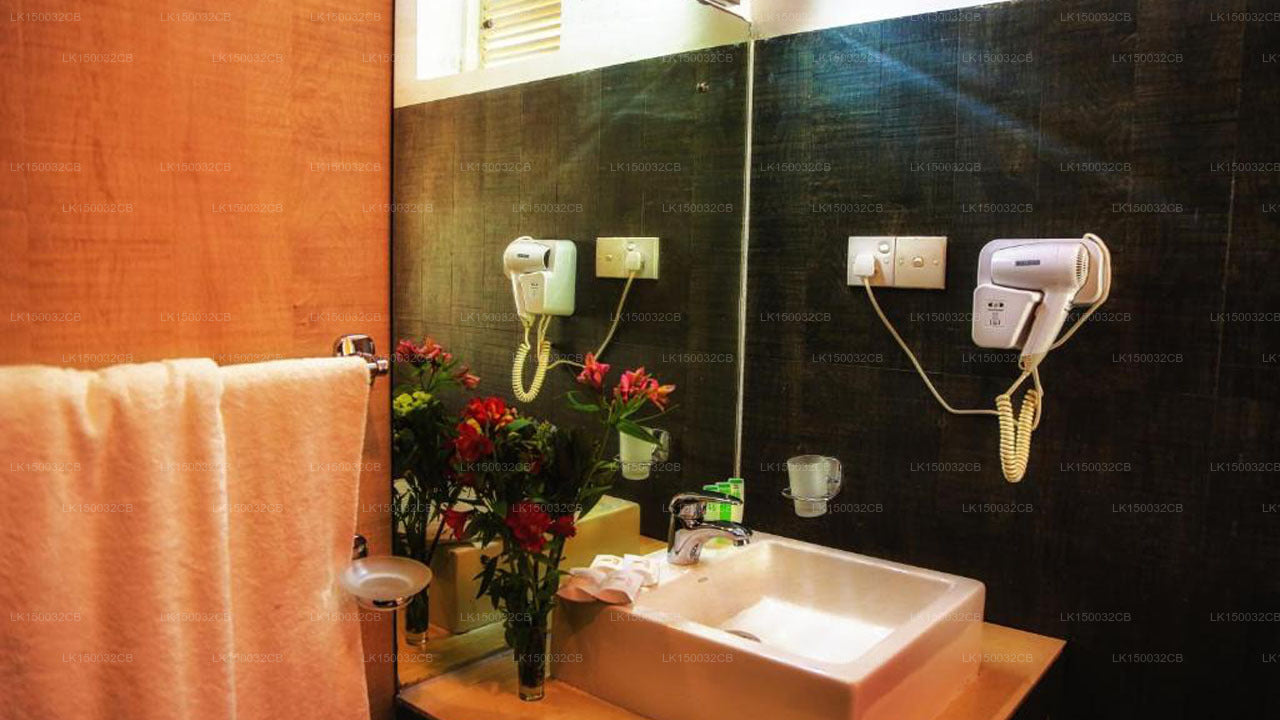 Оук Рэй Саммер Хилл Бриз, Нувара Элия