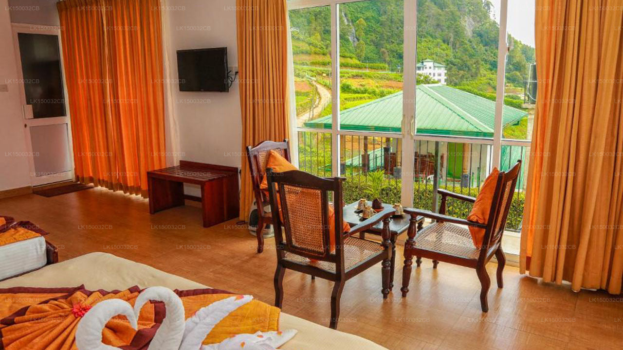 Оук Рэй Саммер Хилл Бриз, Нувара Элия