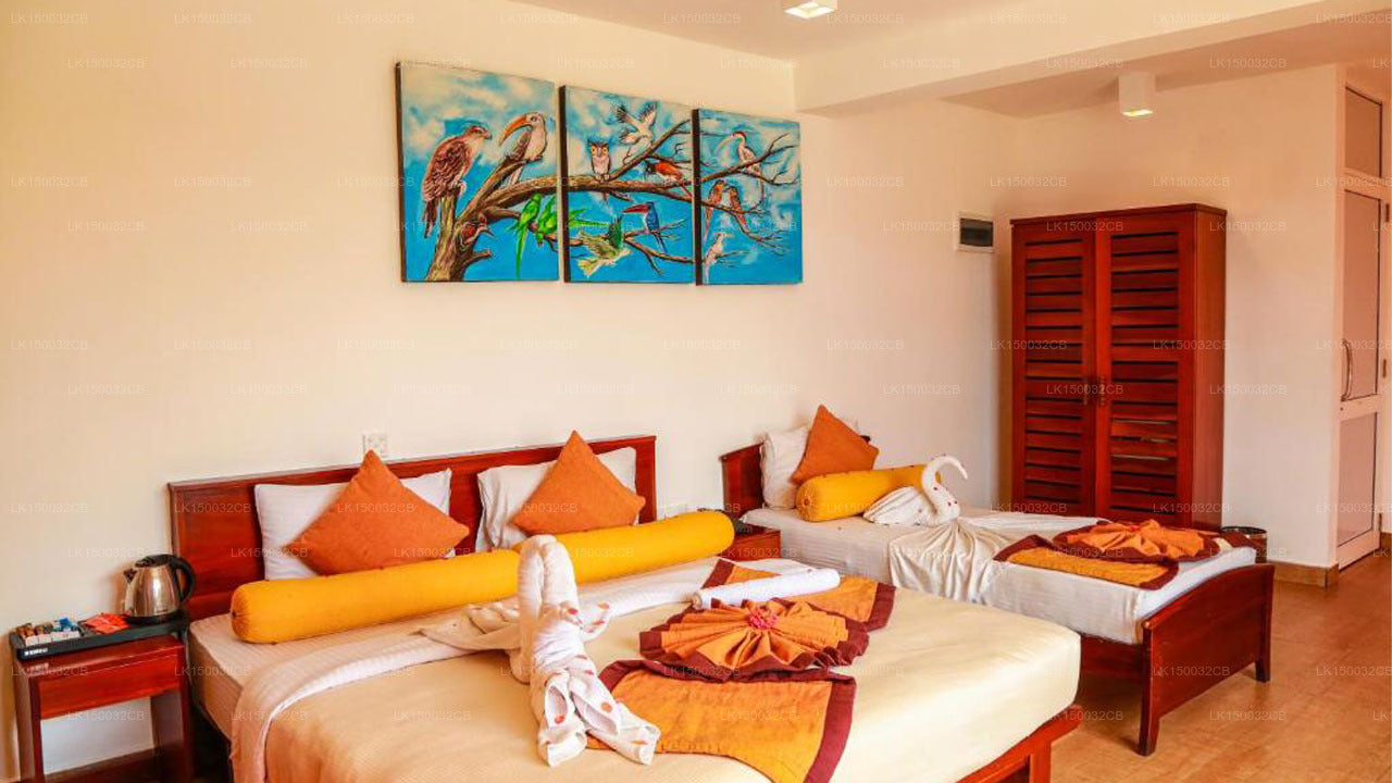 Оук Рэй Саммер Хилл Бриз, Нувара Элия