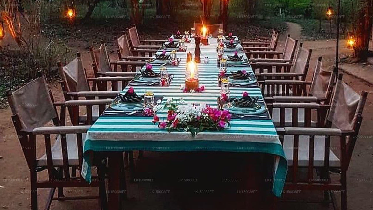 Сафари в Кулу, Яла