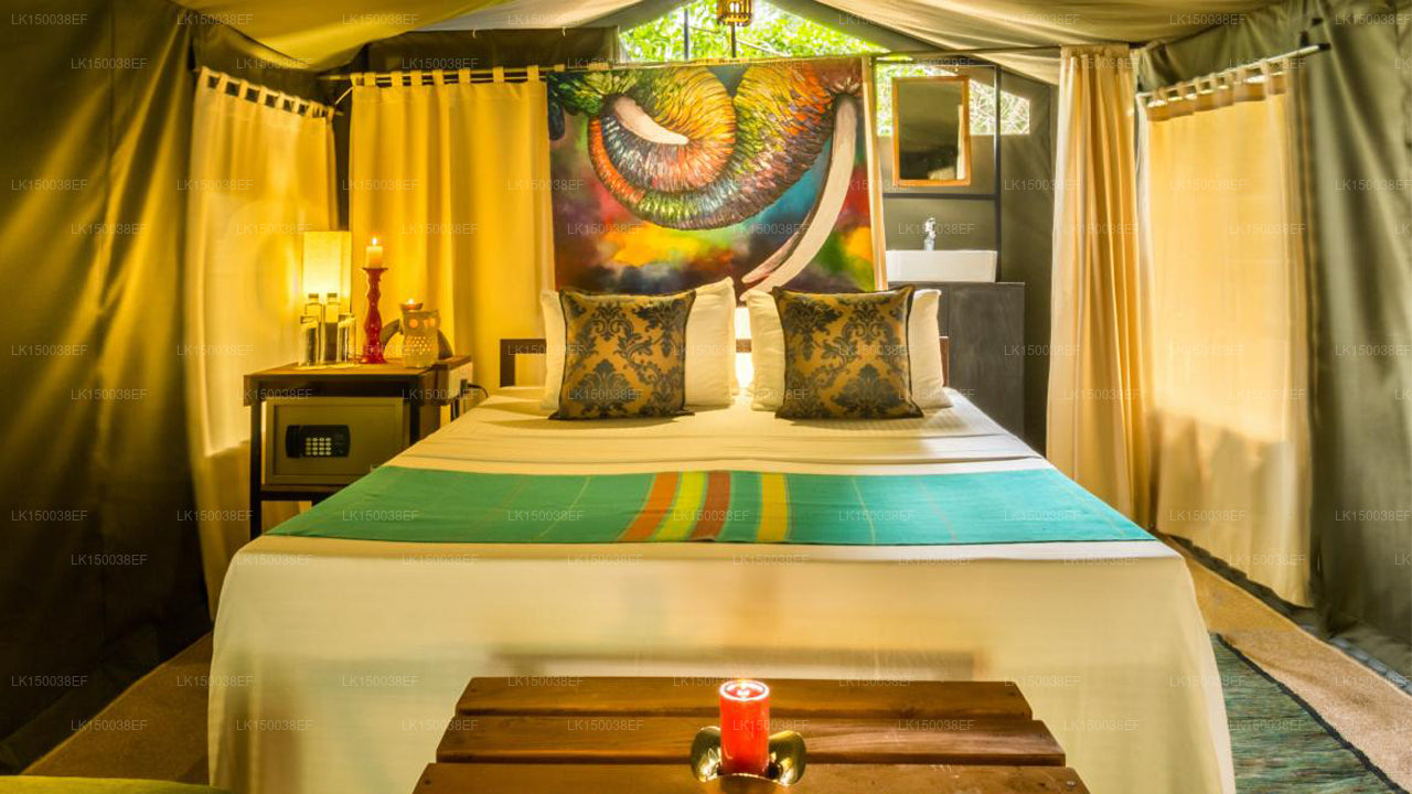 Сафари в Кулу, Яла