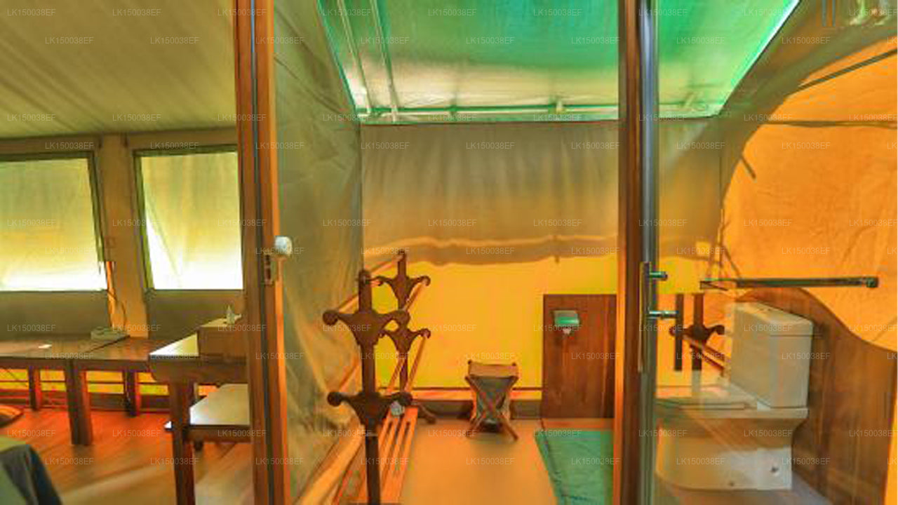 Сафари в Кулу, Яла