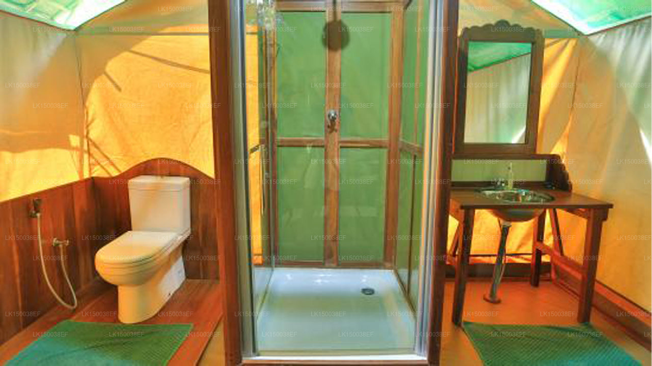 Сафари в Кулу, Яла