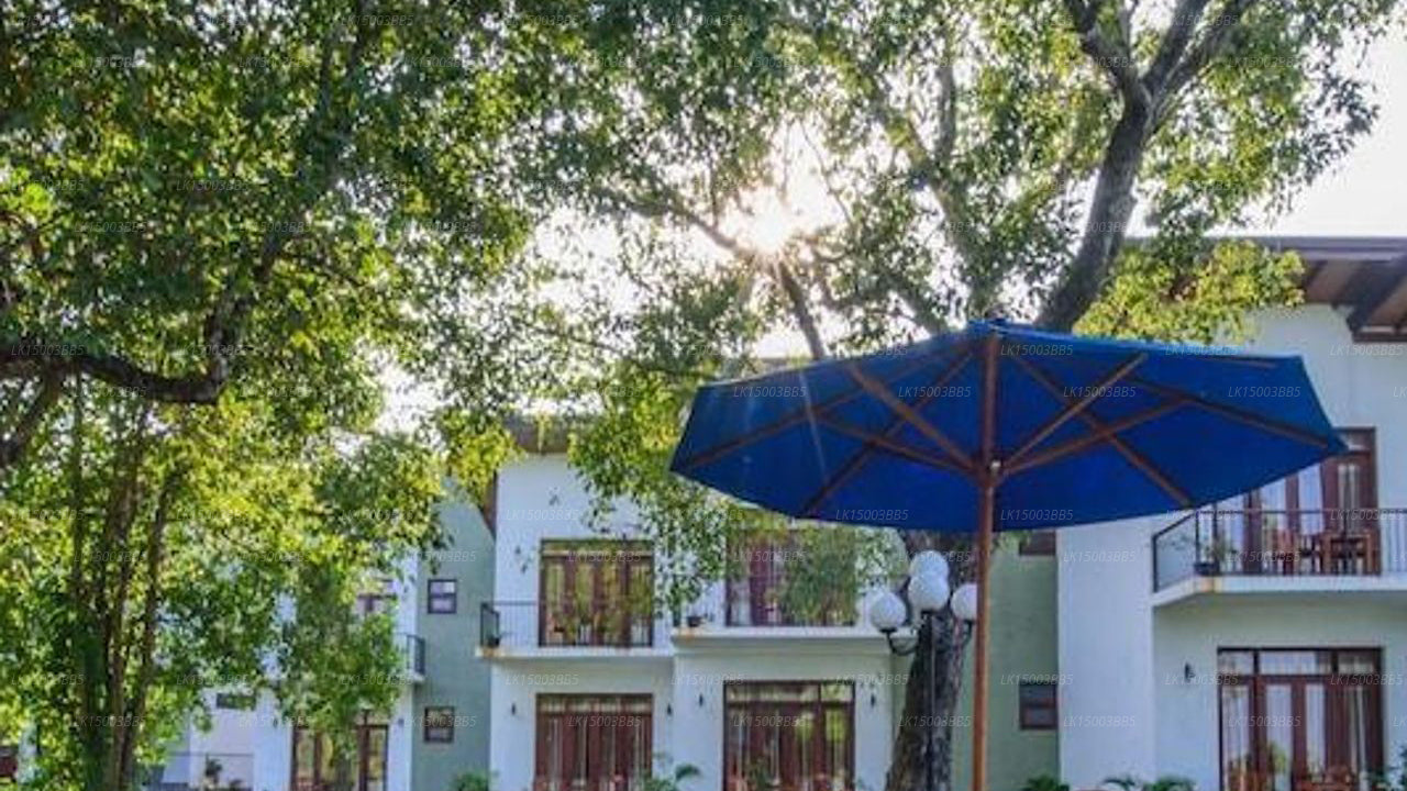 Отель Вева Аддара, Сигирия