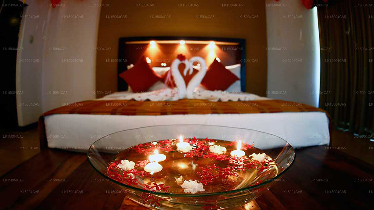 Отель «Пегасус Риф», Ваттала