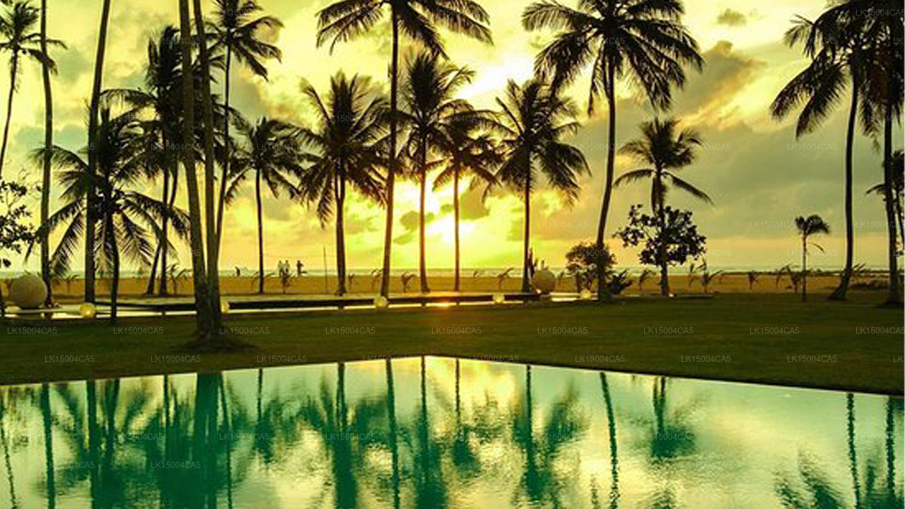 Отель «Пегасус Риф», Ваттала