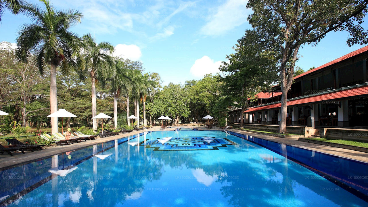 Домик Cinnamon, Хабарана