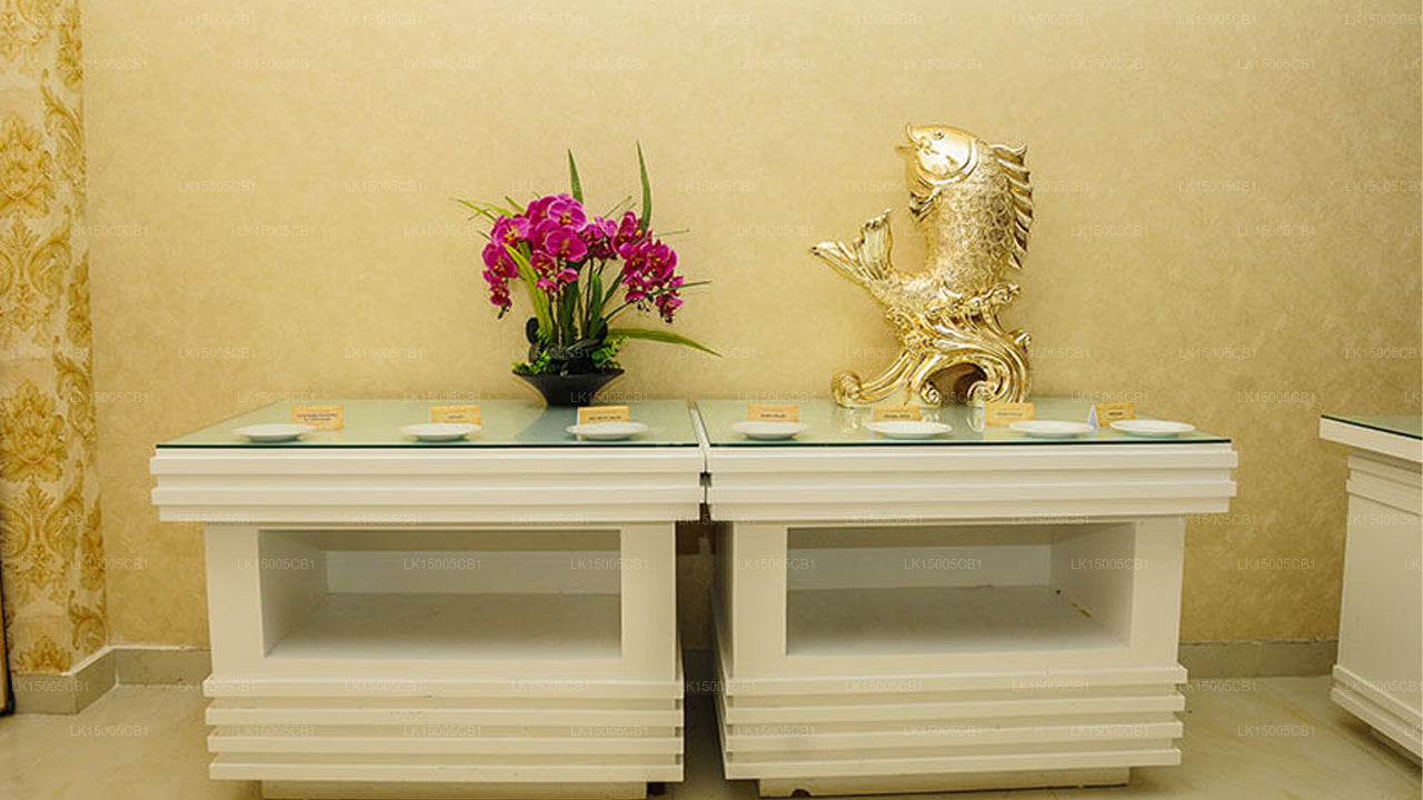 Гостиница «Панорама», Калутара