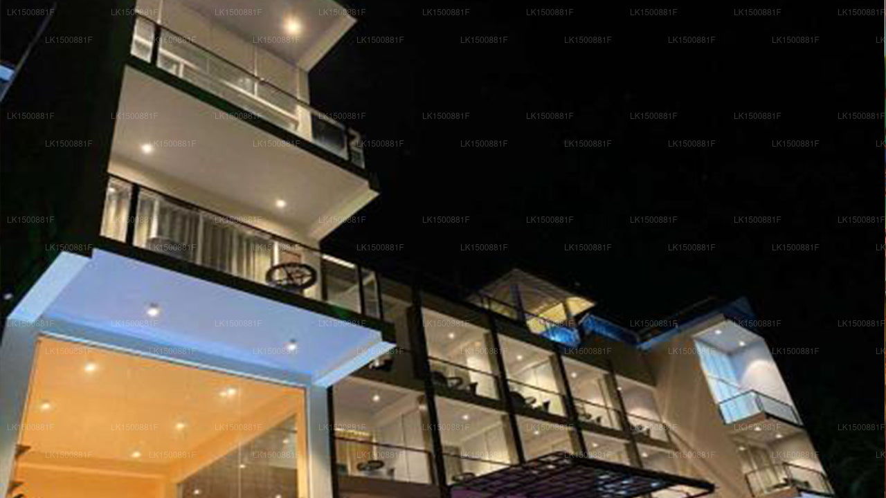 Люксы для серфинга Mazarine, Хирикетия