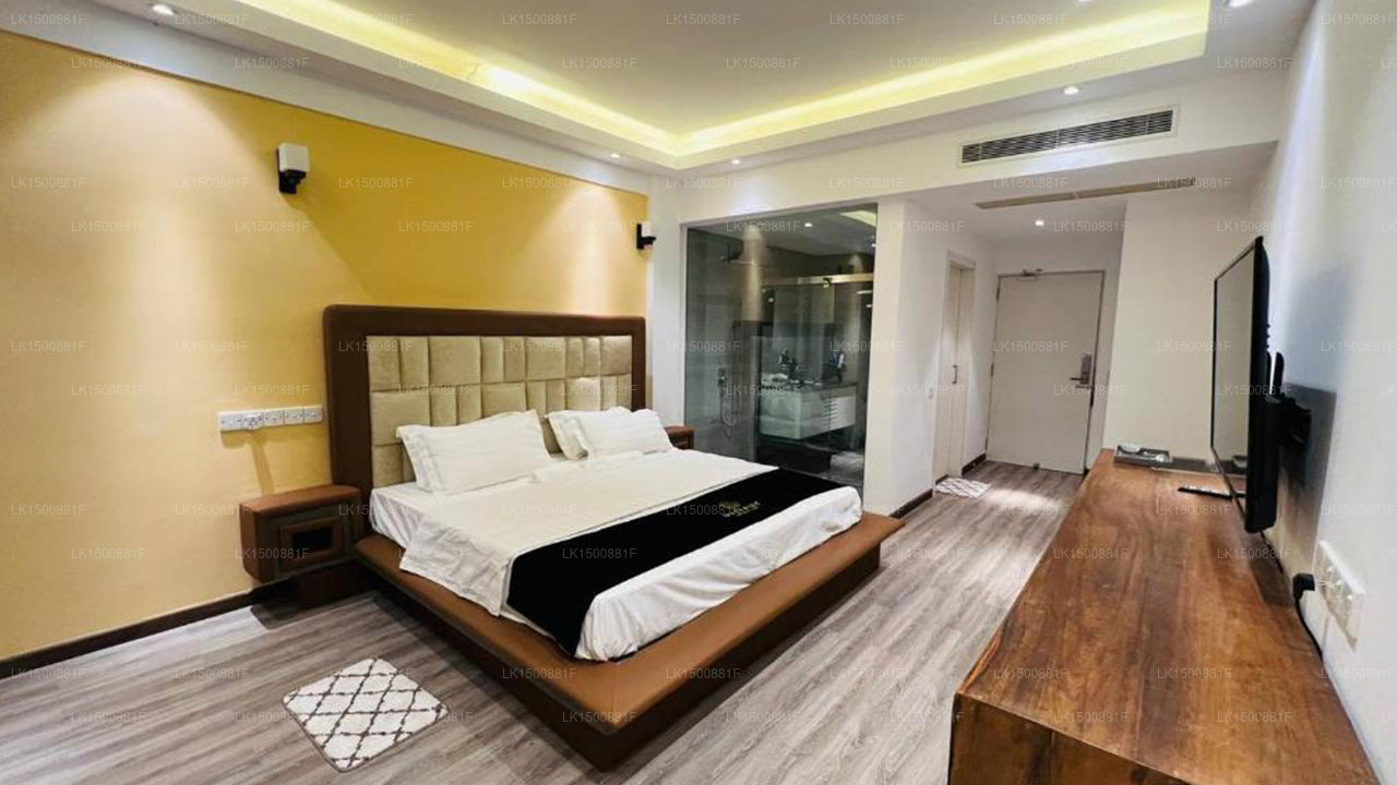 Люксы для серфинга Mazarine, Хирикетия