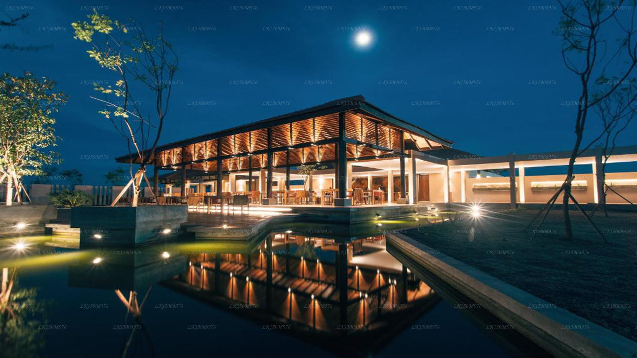 Дом Пальмиры, Маннар