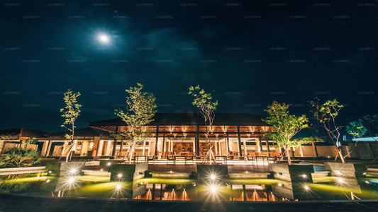 Дом Пальмиры, Маннар