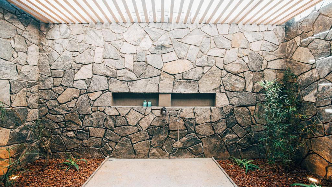 Дом Пальмиры, Маннар