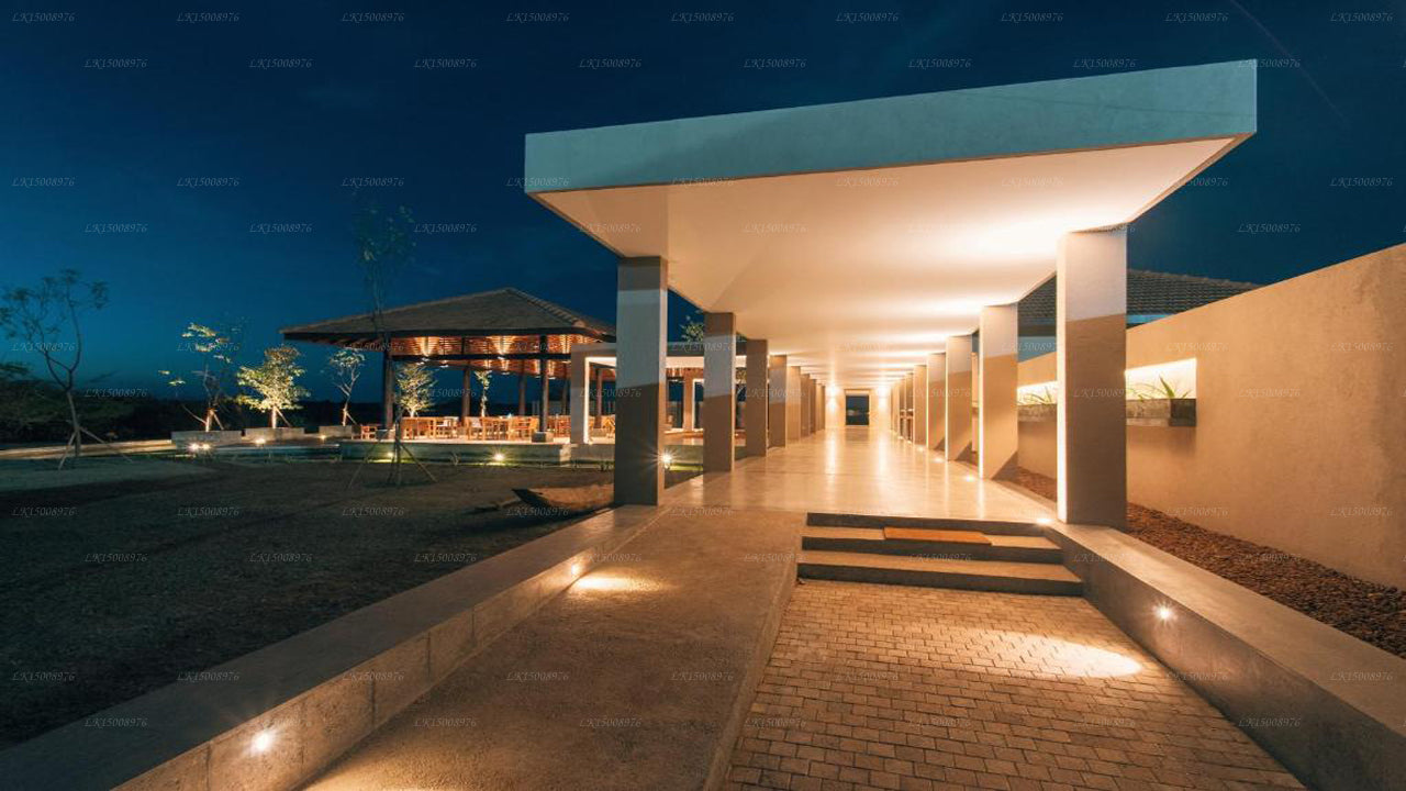 Дом Пальмиры, Маннар