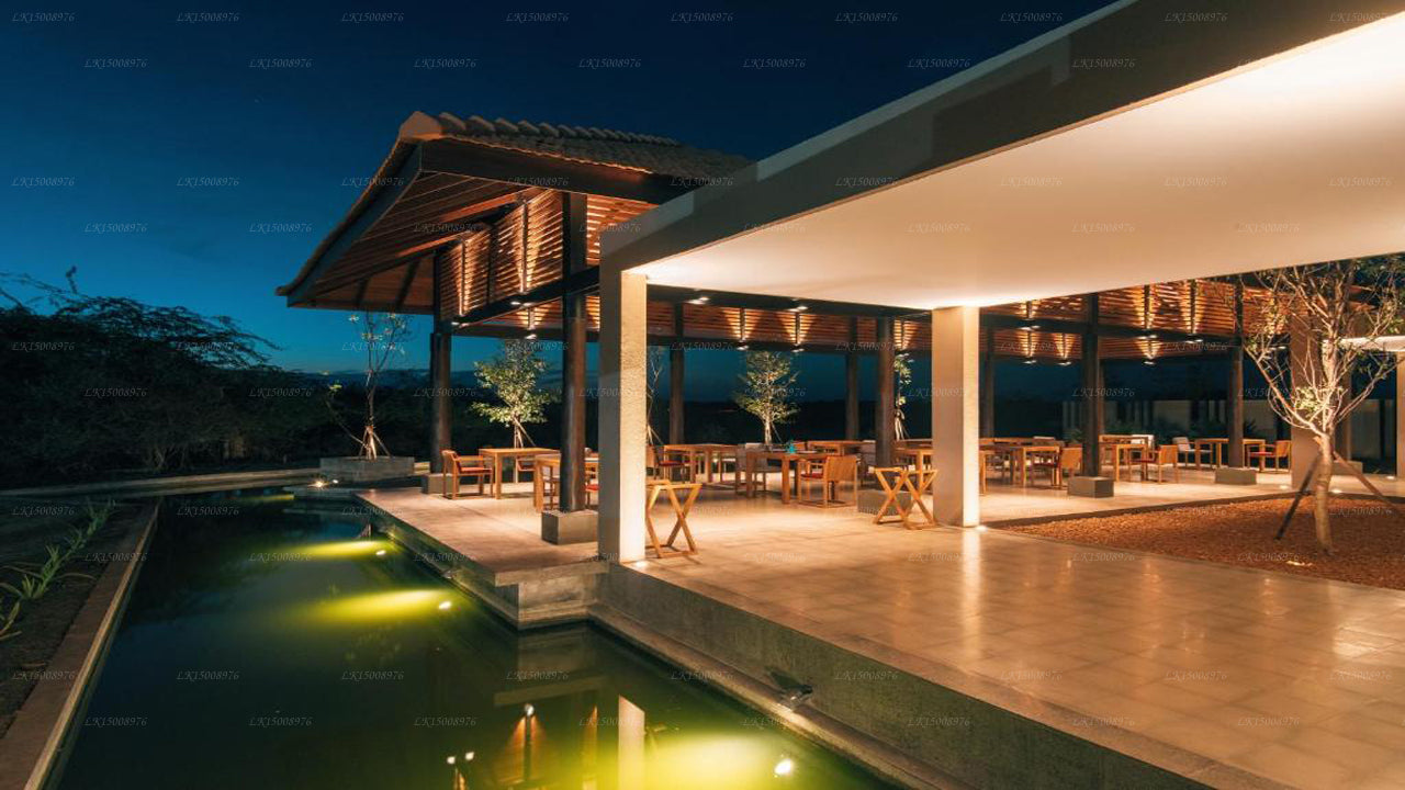 Дом Пальмиры, Маннар