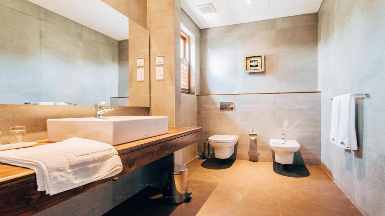 Дом Пальмиры, Маннар