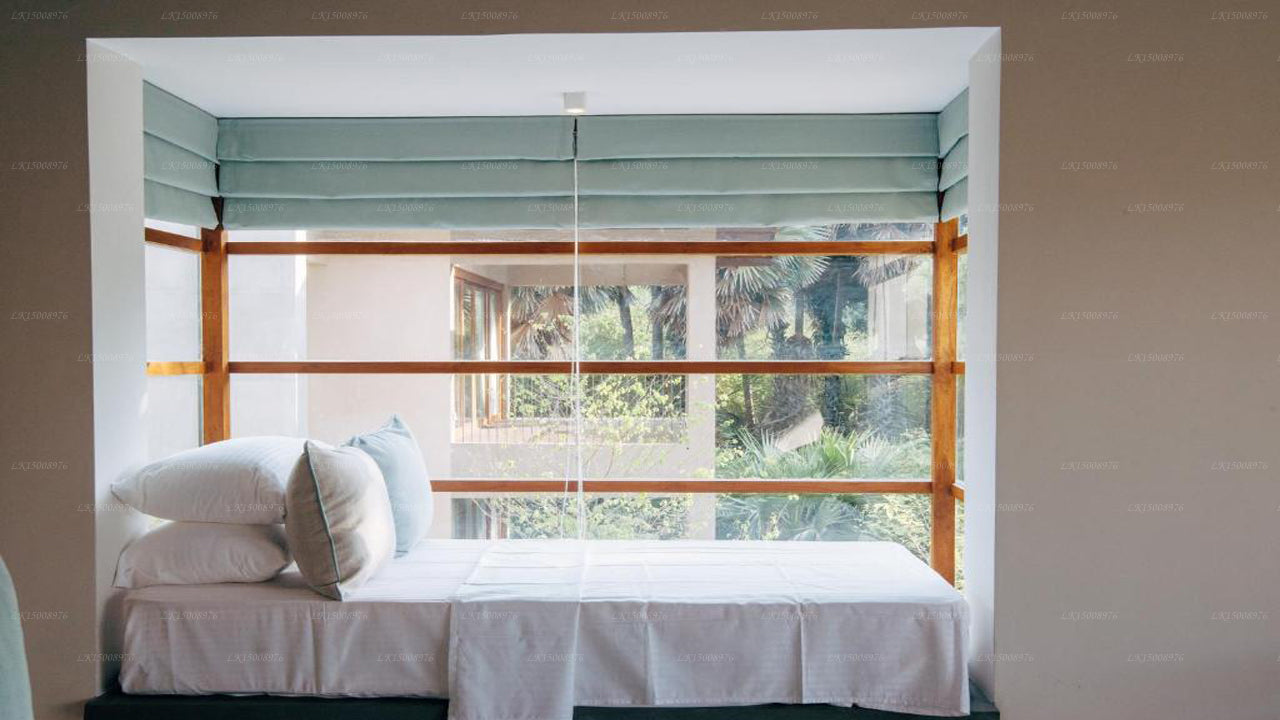 Дом Пальмиры, Маннар