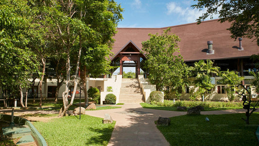 Западный рай, Дамбулла