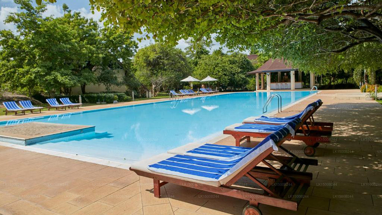 Западный рай, Дамбулла