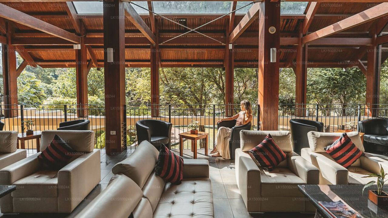 Западный рай, Дамбулла